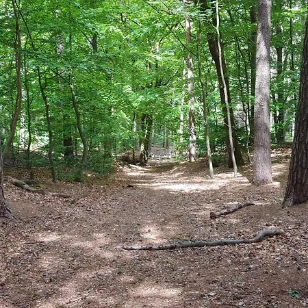 Family Fun With Indoor Pool - By Traum *