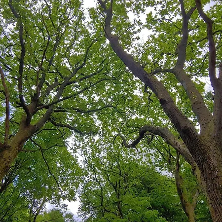 Family Fun With Indoor Pool - By Traum Casa vacanze