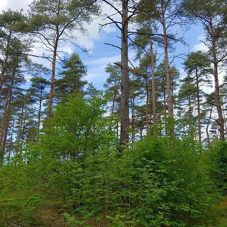 Casa vacanze Family Fun With Indoor Pool - By Traum Oksbøl